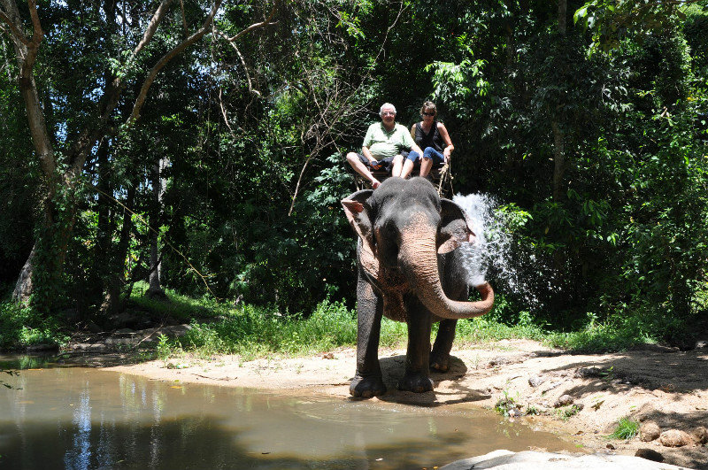 Elephant Trek 
