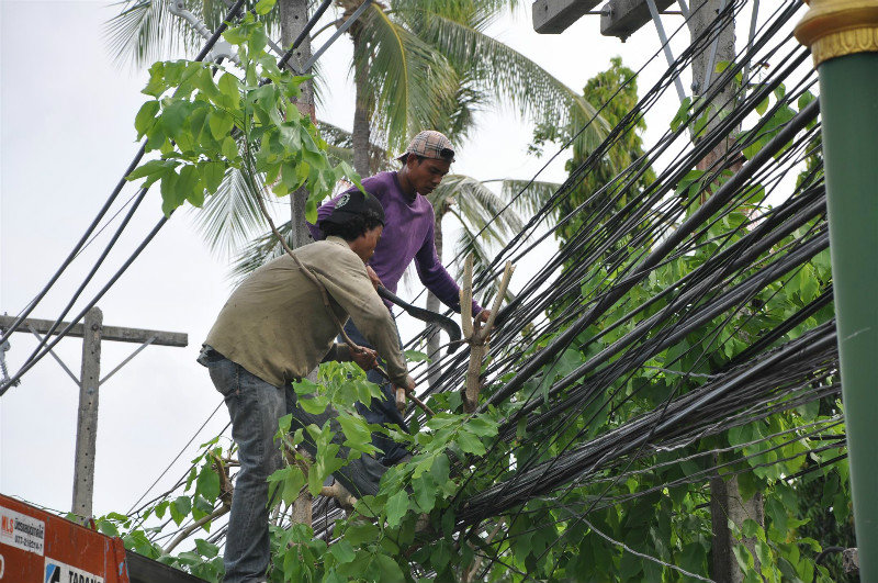 Pruning the trees between the power lines