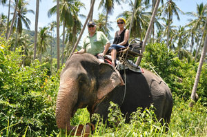 Elephant Trek 
