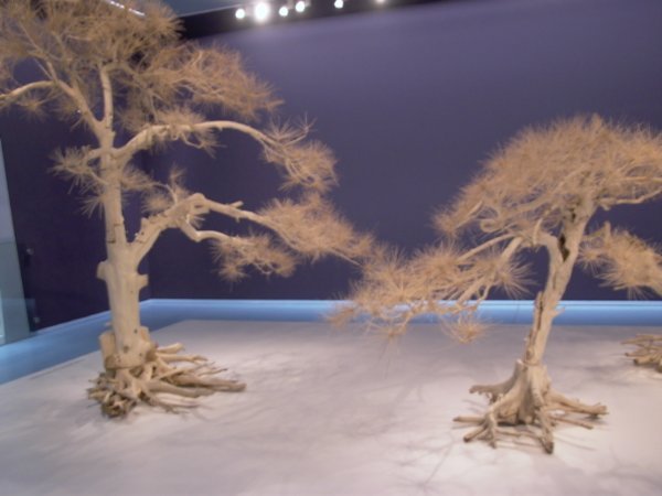 Short Pin Trees (2007)
