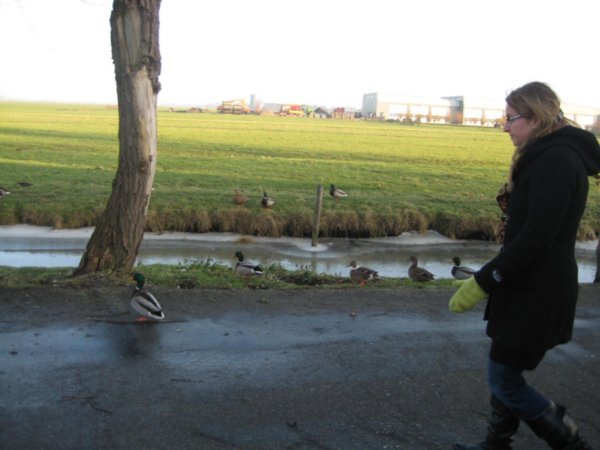 Me and the Ducks
