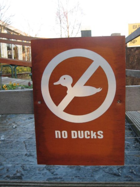No ducks dammit