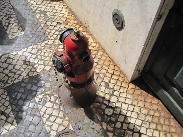 Fire Hydrant #56