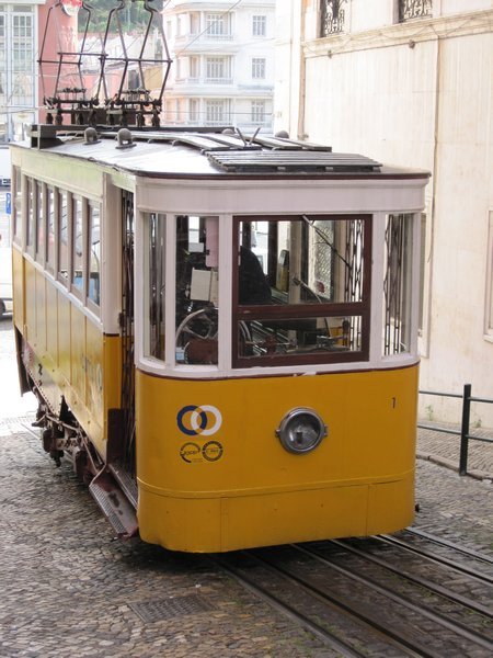 Lisboa's trams