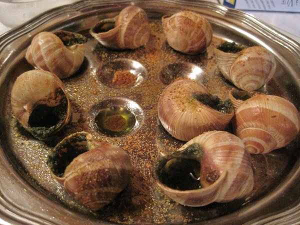Snails (escargots) yum 