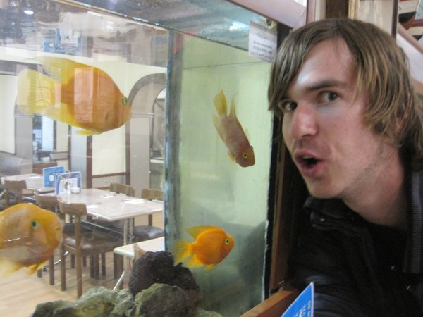 Ivan likes the fishys
