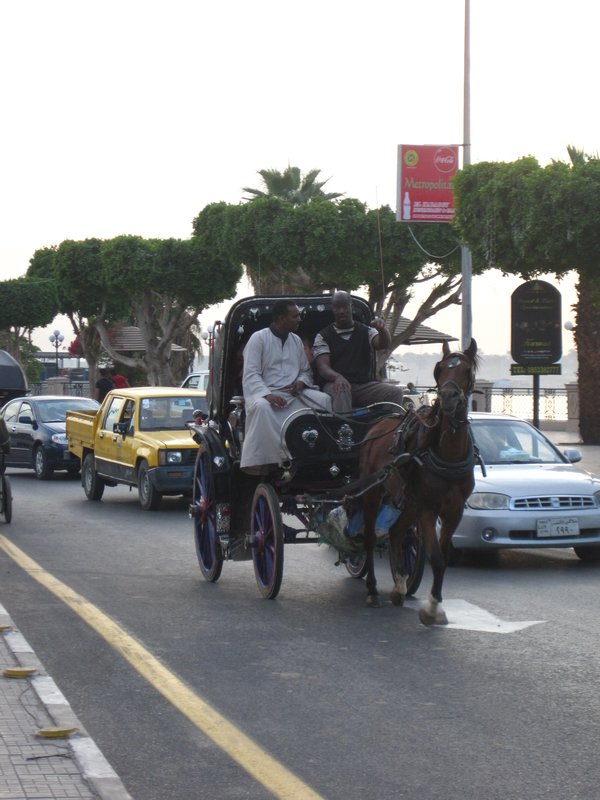 Traveling Luxor by horse and carriage
