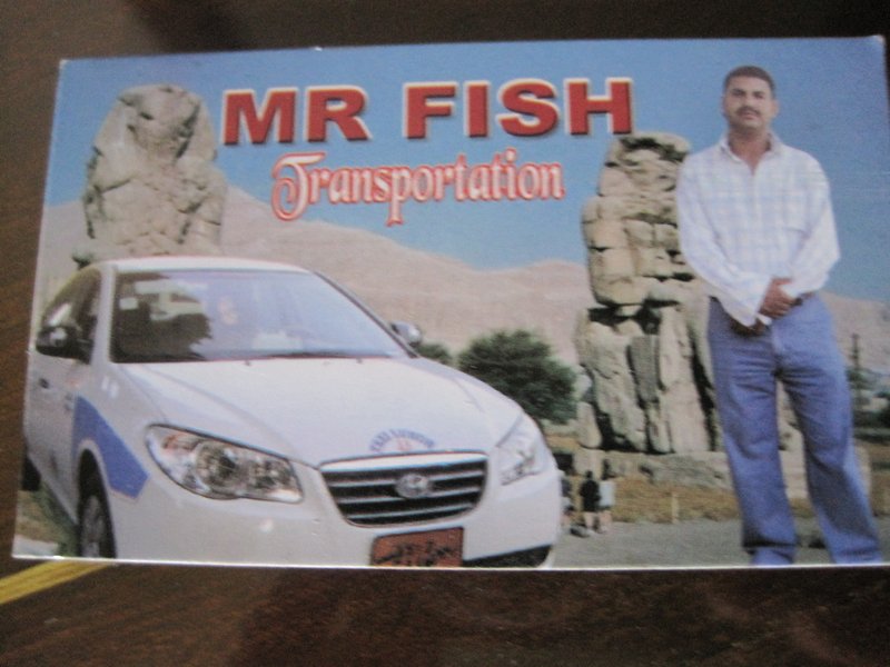 Mr Fish will be here for all your transporting needs