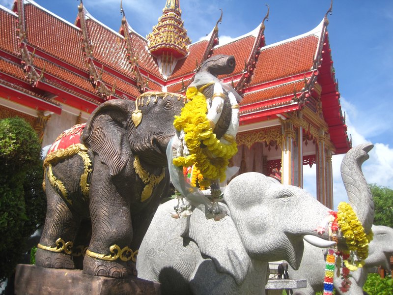 Elephants at Wat Chalong