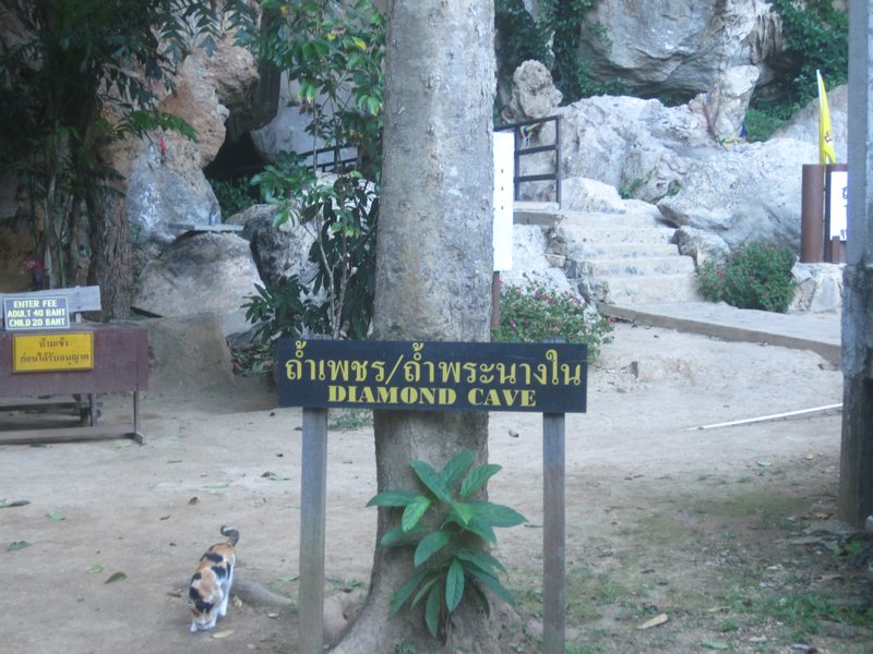 Diamond Cave entry and cat