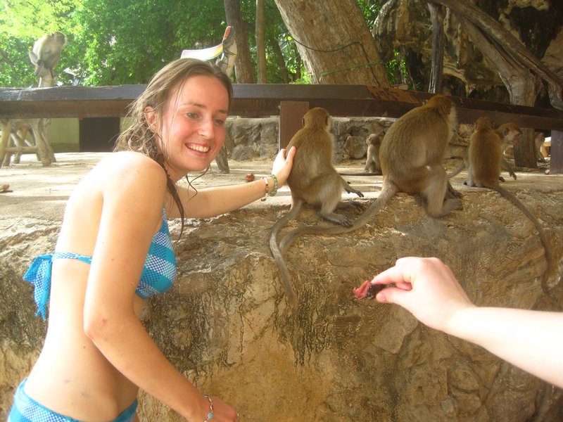 Giving the monkey a good back rub in between feeding