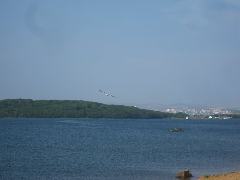 Vladivastok From Ruskiy Island