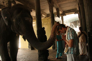 Gerrit og elefanten