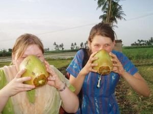 kokos pigerne