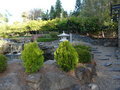 Japanese garden at Bundaberg Botanic Gardens