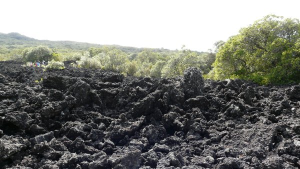 Black, volcanic rock of Rangitoto