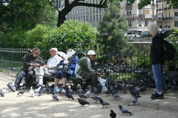 THIS is why you don't feed the pigeons!