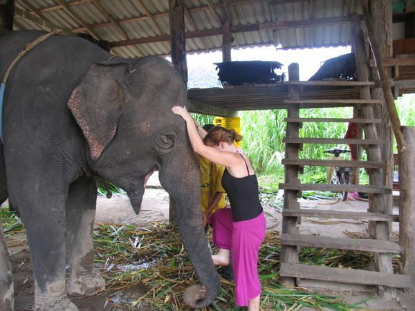 step one to getting on an elephant...