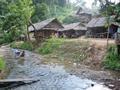 Padaung (Kayan/Karenni) tribe