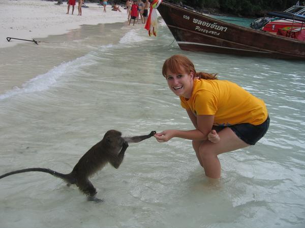 jess has always wanted a pet monkey.