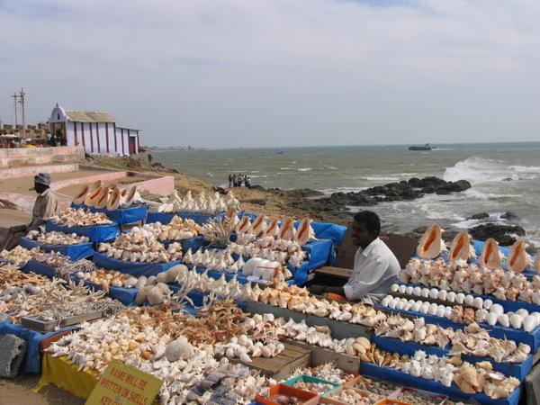 selling sea shells by the sea shore