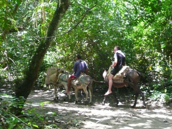 I luckily arrived to the entrance of the national park at the same time as a small tour group....their guide, El Abuelo, showed me the way into the park through the jungle to the beach...some others hired donkeys to take them!