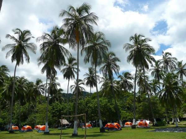The camp of many tents facing the gorgeous beach with jungle behind!