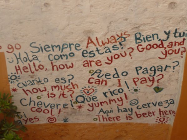 Bilingual wall to help the gringos with their spanish :)