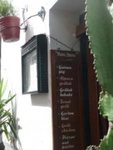 Check out what is on the menu at this typical restaurant for the tourists. Thank goodness I am vegetarian! :(