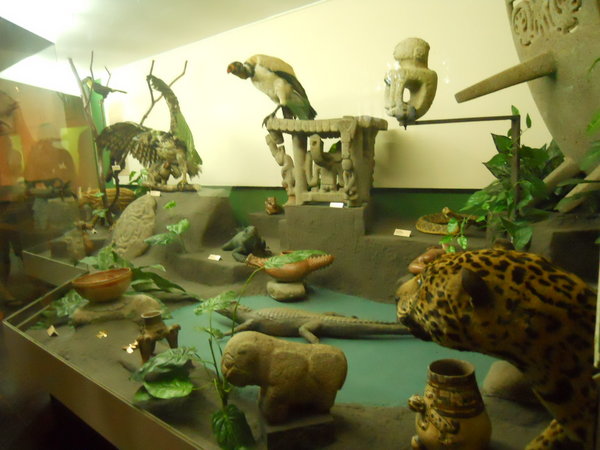 Exhibit at el Museo Nacional