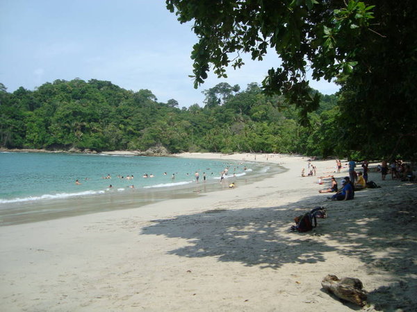 The Beach at Manuel Antonio