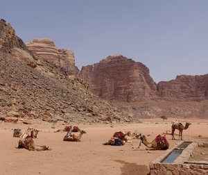 Wadi Rum 'tourism'