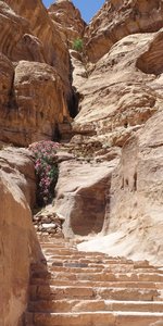 Petra - path to the Monastery