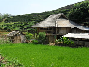 Near Dac Tha village