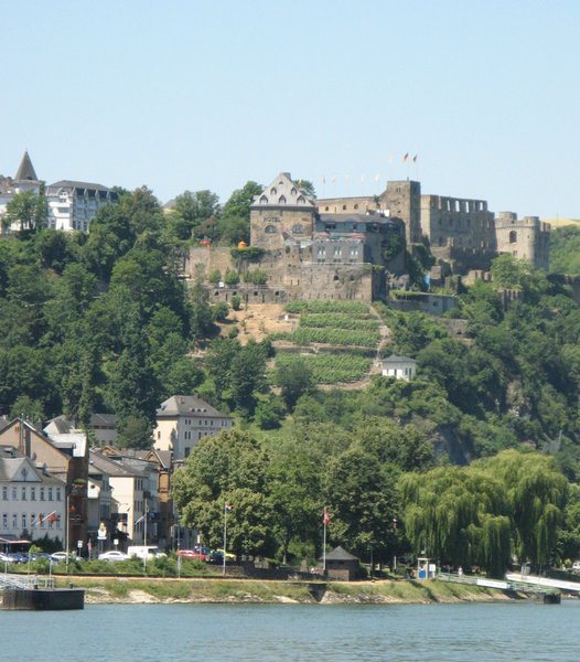 Castle & town on Rhine