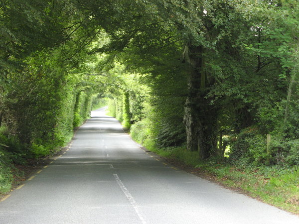 Rural (green) road