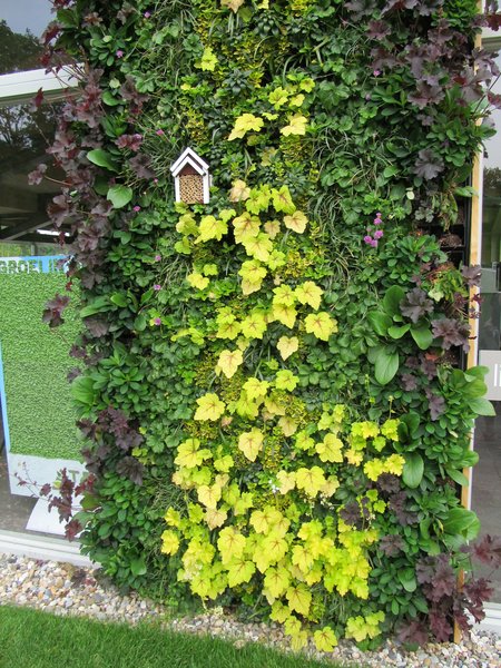 Floriade - green wall with wasp home