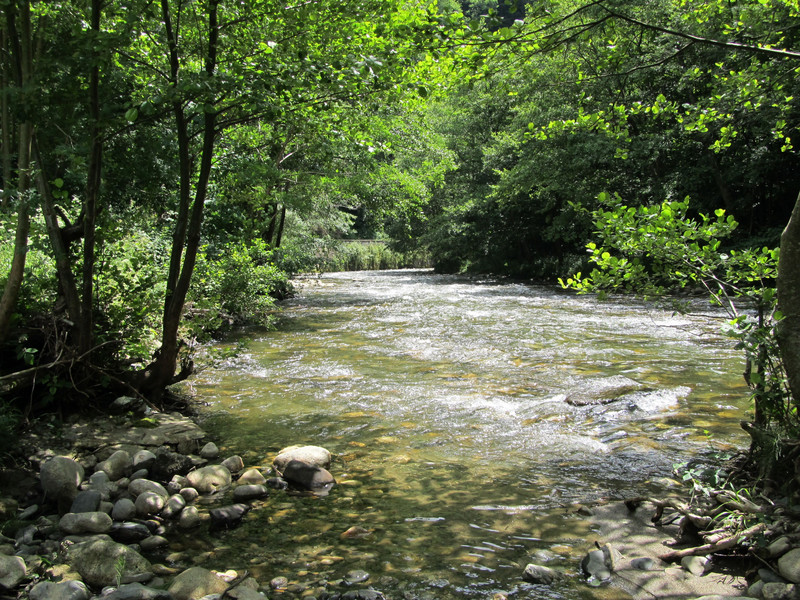 A river scene along the drive route