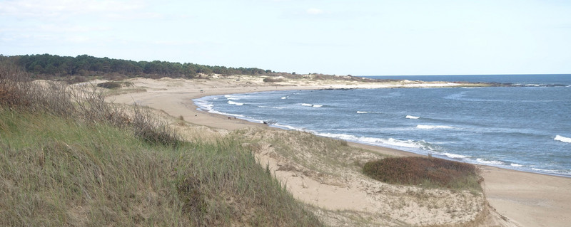 Uruguayan beach - 50 km from Montevideo