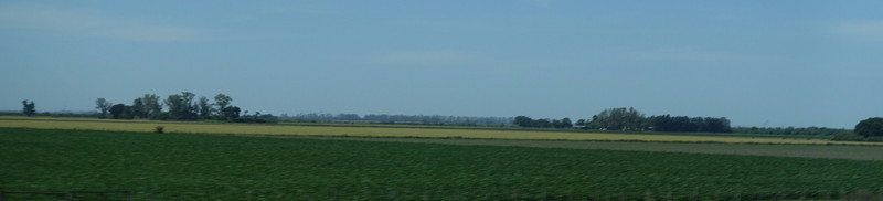 Rosaria district landscape