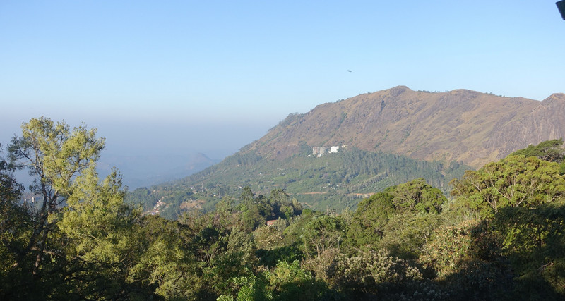 View of Munnar