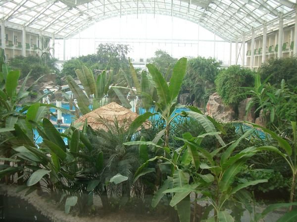 Indoor oasis
