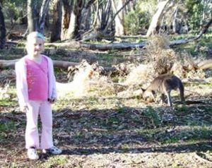 Kate and the Kangaroo