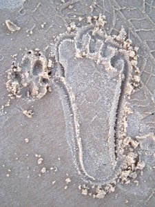 Eli Creek - Dingo & My footprints