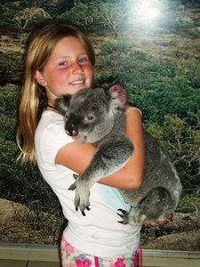 Cuddling a Koala