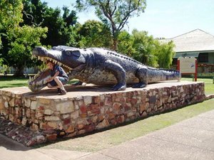 Normanton Crocodile