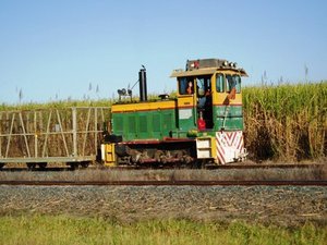 Sugar Cane Train - Mirani