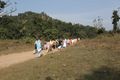 meditation walk in the Rajaji National Parc