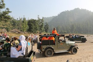 with jeeps in the Rajaji National Parc