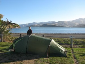 camping in Aroha, New Zealand